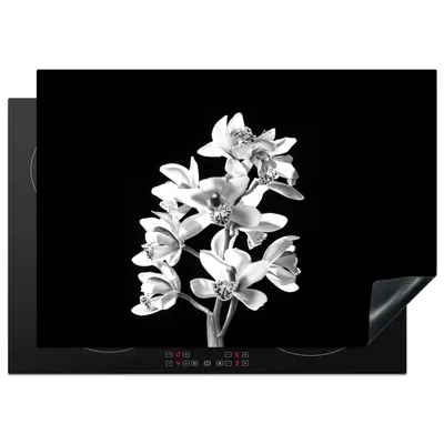 Produktbild von KitchenYeah© Herdabdeckplatte Eine weiße Orchidee vor schwarzem Hintergrund - schwarz und weiß , 75x52cm, Küche Deko, Glaskeramikkochfeld Herdabdeckung, Abdeckplatte fùr Kochfeld