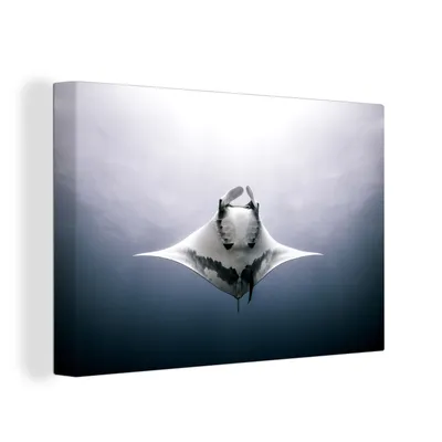 Obrázek produktu pro OneMillionCanvasses® Malba na plátně Nástěnná malba na plátně - Ryby - Voda - Tropické ryby - 150x100cm