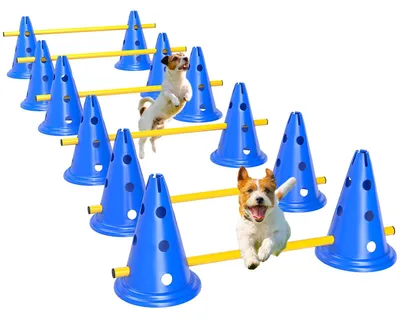Produktbild von Agility Set Hunde 6-teiliges Agility-Ausrüstung für Hundetraining, für Hundetraining Garten
