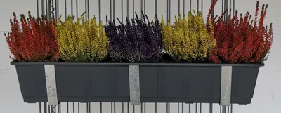 Immagine prodotto di Portafioriera zincato in set da 3, incluso vaso per fiori, per gabbioni MW 5 x 20