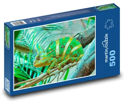 Produktbild von Puzzle 500 Chamäleon im Terrarium - martinpuzzle