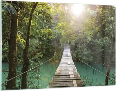 Produktbild von Bilder auf glas - Einteilig - Brücke Seil Dschungel - 120x80cm - Glasbilder - Wandbilder - Bilder - zum Aufhängen bereit - Wanddekoration aus Glas - Glas Bilder - Wandbild auf Glas - GAA120x80-4397