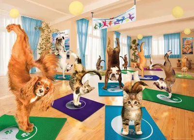 Immagine prodotto di EUROGRAPHICS Yoga Studio XL 300 pezzi