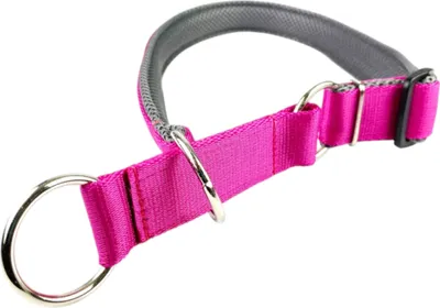 Produktbild von Hundehalsband Zugstopphalsband 16 mm Fuchsia Anti-Zug-Halsband Verstellbar Gepolstert Weiches Nylon