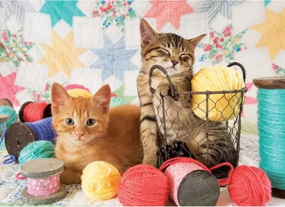 Immagine prodotto di COBBLE HILL Puzzle Clubball 1000 pezzi