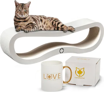 Produktbild von Special-Bundle · WHITE EDITION · Kratzbrett Orbit 2.0 + Limitierte Tasse LOVE