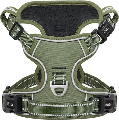 Produktbild von Famanu Hundegeschirr für große Hunde - verstellbar, reflektierend, grün, XL