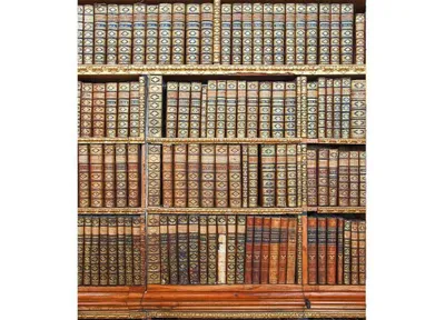 Zdjęcie produktu dla Fototapeta Dimex MS-3-0263 Biblioteka 225 x 250 cm