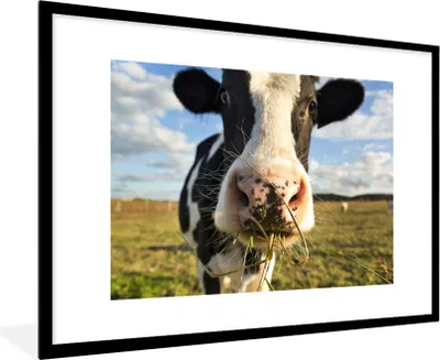 Produktbild von MuchoWow® MuchoWow® Gerahmtes Poster Kuh - Licht - Gras 90x60 cm - Poster mit zchwarzem Bilderrahmen - Wanddekoration - Fotos