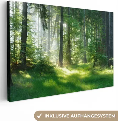 Produktbild von MuchoWow® - Leinwandbilder - Natur - Bäume - Wald - Grün - Sonne - Gras - Pflanzen, Wandbild, Wanddeko Bilder Wohnzimmer, 120x80cm