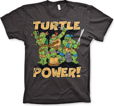 Produktbild von TMNT - Turtle Power! T-Shirt - Small - Dark-Grey