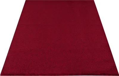 A red carpet is shown from a slightly elevated, diagonal angle against a white background.