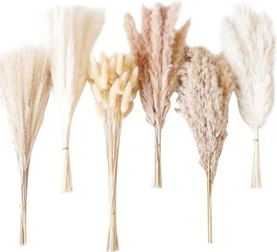 Image de Lot de fleurs de pampa séchées - 110 pièces - Décoration naturelle