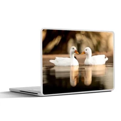 Produktbild von MuchoWow® Laptop Aufkleber Sticker Cover Ente - Weiß - Tiere - Wasser - Vogel - Enten 31x22.5 cm - Laptop-Deko