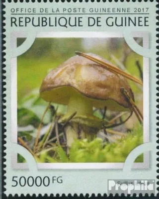 Produktbild von Briefmarken Guinea 2017 Mi 12160 (kompl. Ausgabe) postfrisch Pilze