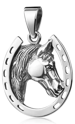 Produktbild von MATERIA by Matthias Wagner Hufeisen mit Pferdekopf Kettenanhänger 925 Sterling Silber oxidiert KA-113