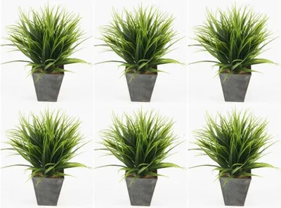 Produktbild von 6er Set künstliche Gräser Grünpflanzen im Zinktopf H. 30cm Emerald Zimmerpflanze