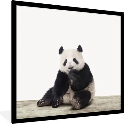 Produktbild von MuchoWow® Gerahmtes Poster Panda - Tiere - Jungen - Mädchen - Pandabär 40x40 cm - Poster mit Schwarzem Bilderrahmen Wandposter Rahmen Foto Bilder - Mit Rahmen - Wanddekoration Schlafzimmer