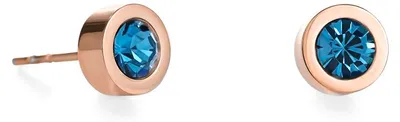Immagine prodotto di Sparkling Dots Ohrringe roségold petrol