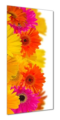 Produktbild von Wallario selbstklebende Duschrückwand 90 x 180 cm mit Motiv Bunte Gerberas - pinke, gelbe, rote und weiße Blüten - Wandverkleidung mit Hochglanzlaminat in Glasoptik