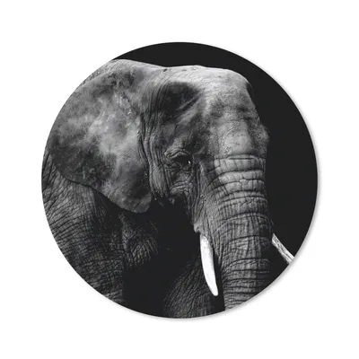 Produktbild von MuchoWow® Mauspad Mousepad Elefant - Tiere - Schwarz - Weiß 50x50 cm - Mousepads - Maus Mat - Pad - Mausunterlage - Vinyl