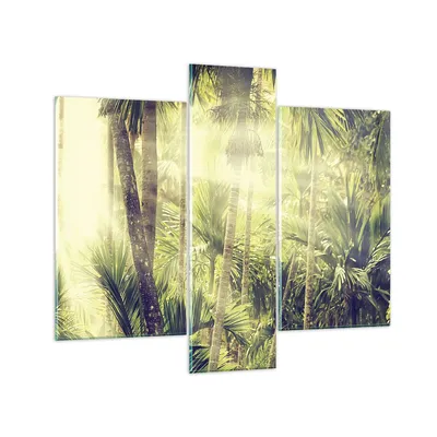 Produktbild von Bilder auf glas - 3 Teile - Morgendämmerung Dschungel Palmen - 95x80cm - Glasbilder - Wandbilder - Bilder - Wanddekoration aus Glas - Glas Bilder - Wandbild auf Glas - GCB95x80-4450