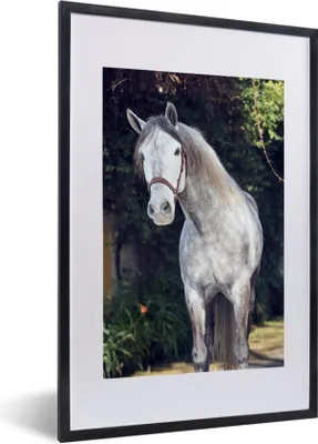 Produktbild von MuchoWow® MuchoWow® Gerahmtes Poster Pferd - Halfter - Natur 40x60 cm - Poster mit zchwarzem Bilderrahmen - Poster in Rahmen