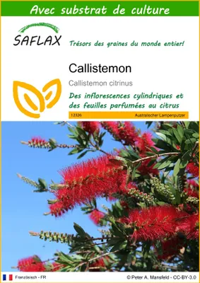 Image de SAFLAX  - Callistemon - 400 graines - Avec substrat - Callistemon