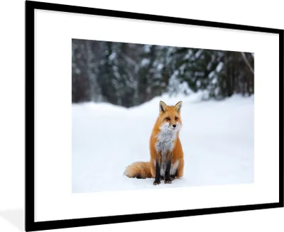 Produktbild von MuchoWow® MuchoWow® Gerahmtes Poster Fuchs - Schnee - Wald 90x60 cm - Poster mit zchwarzem Bilderrahmen - Wanddekoration - Fotos