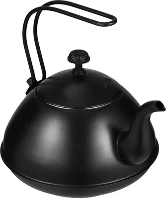 Produktbild von 2-Liter-Teekessel für den Herd, pfeifend, robust, aus Edelstahl, schwarz
