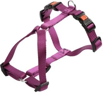 Zdjęcie produktu dla Szelki dla psa Miami, 30 - 40 cm x 15 mm, fioletowe, Kerbl
