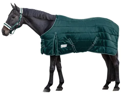 Produktbild von Waldhausen Stalldecke 100g Economic Tannengrün 125 cm