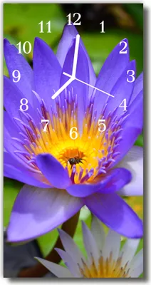 Produktbild von Tulup Glasuhr Wanduhr Küchenuhr Echt-Glas 30x60 Blume Mehrfarbig