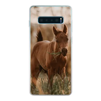 Produktbild von MuchoWow® Handyhülle Schutzhülle Hülle für Samsung Galaxy S10 Lite Pferd - Sonne - Gras Silikon Softcase Handy Hülle - Schutz