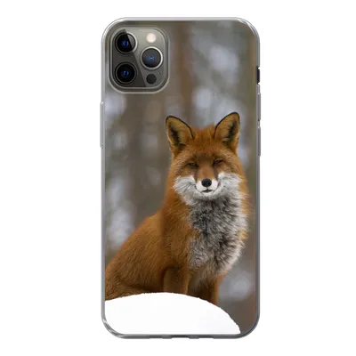 Produktbild von MuchoWow® Handyhülle Schutzhülle Hülle für iPhone 13 Pro Max Fuchs - Wald - Rot Silikon Softcase Handy Hülle - Mobiltelefon