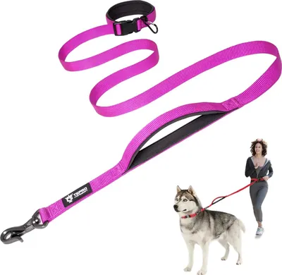Produktbild von Famanu Verstellbare Hundeleine mit Sicherheitsgriff und Karabiner - Orange