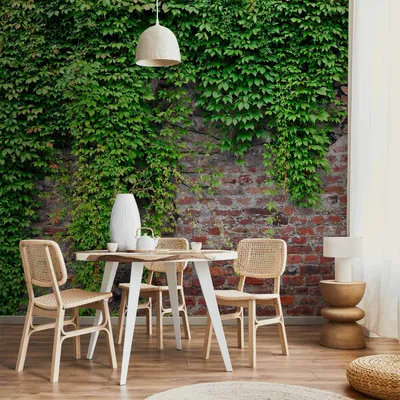 Produktbild von Vlies Fototapete - Brick and ivy 300x210 cm Blätter b-A-0173-a-c