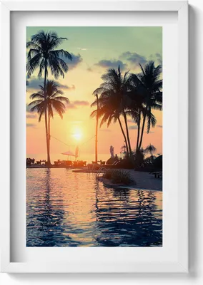 Produktbild von Palmen im Sonnenlicht– Wandbild mit Rahmen – Gerahmtes Bild  – Wanddekoration – 40x60 cm – Weiß