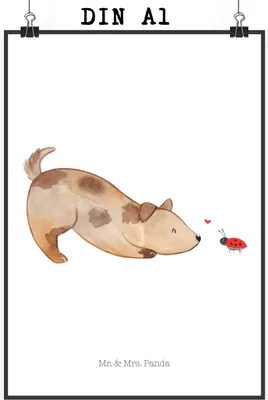 Produktbild von Mr. & Mrs. Panda Bild Hund Marienkäfer DIN A1 - Weiß - Geschenk, Sprüche, Kunstdruck, Plakat, Mischlinghund, drucke, Neugierig, wanddeko, Wanddekoration, Mischlingshund