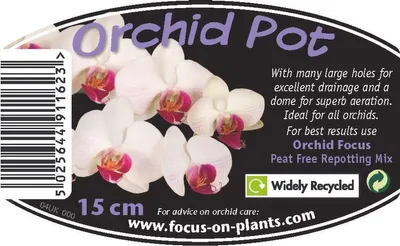 Durchsichtiges Orchideen-Topf 15 cm