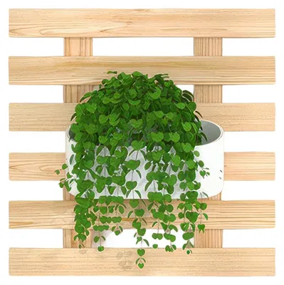Produktbild von Wand Blumentopf Holz 30 cm, Wandhalter für Pflanzen & Kräuter, Massivholz, platzsparende Wanddeko für Wohnzimmer, Küche & Balkon