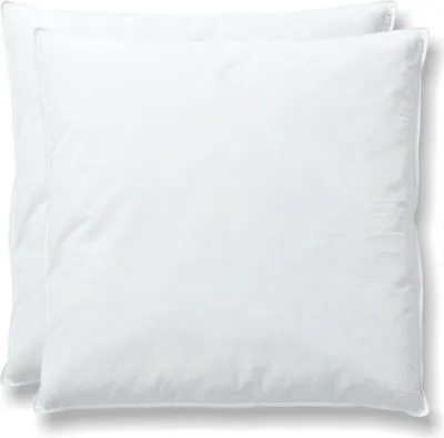 Produktbild von RIBECO Kopfkissen-Set Lara , weiße Ente 90% Federn, 10% Daunen , 40x80 cm ,