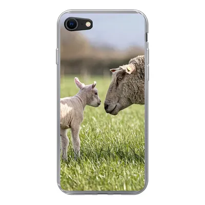 Produktbild von MuchoWow® Handyhülle Schutzhülle Hülle für iPhone 8 Schafe - Gras - Lamm Silikon Softcase Handy Hülle - Schutzhaube