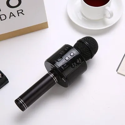 Obrázok produktu pre Prenosný bezdrôtový mikrofón Bluetooth s reproduktorom a funkciou karaoke