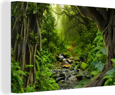 Produktbild von MuchoWow® - Leinwandbilder - Natur - Wasser - Dschungel - Wald - Tropisch, Wandbild, Wanddeko Bilder Wohnzimmer, 120x80cm