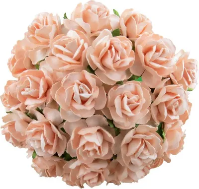 Immagine prodotto di WILDROSEN 30mm 50Stk Scrapbooking Maulbeerpapier Blumen Flower, hellpfirsich