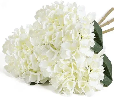 Image de Fleurs artificielles blanches et bleues - Décoration pour les fêtes et le bureau - 6 pièces - Plastique - Blanc - Bleu