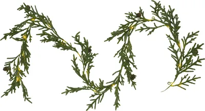 Produktbild von Batteriebetriebene Tannengirlande ,Lummer', 20 warmweiße LEDs, Timer, naturnahe Optik, L 180cm