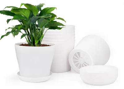 Obrázek produktu pro Malé květináče s podtácky, 8 kusů, bílé, 10 cm, plast