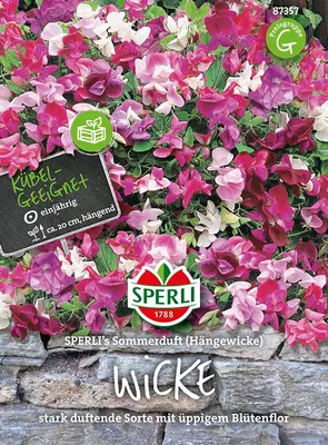 Produktbild von Sperli Duftwicken SPERLI's Sommerduft - Blumensamen